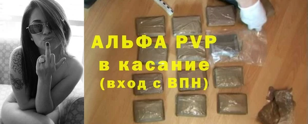 первитин Богданович