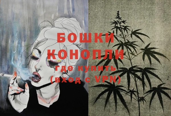дмт Богородск