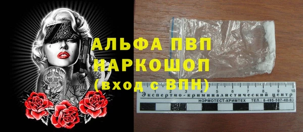 сатива Баксан