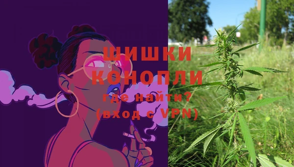 первитин Богданович