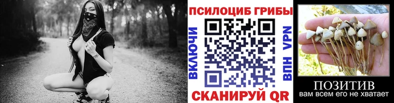 наркота  Олёкминск  Галлюциногенные грибы Psilocybine cubensis 